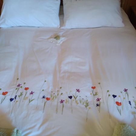 Les Dames De La Saugiat Bed & Breakfast Le Fied Luaran gambar
