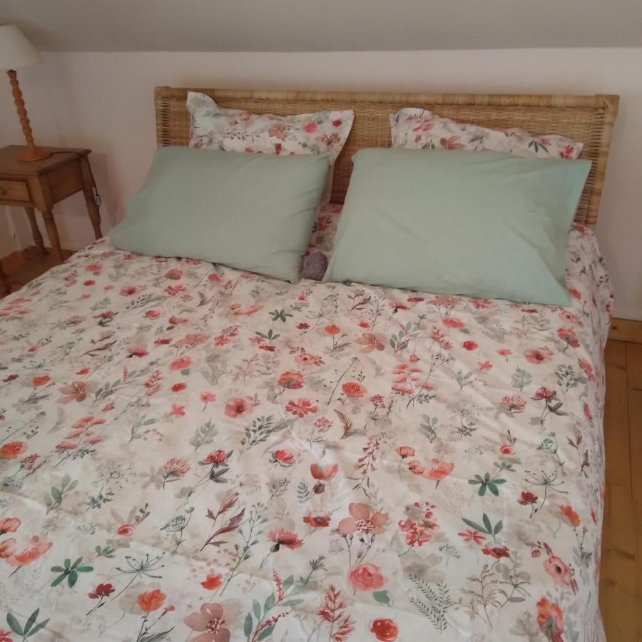 Les Dames De La Saugiat Bed & Breakfast Le Fied Luaran gambar
