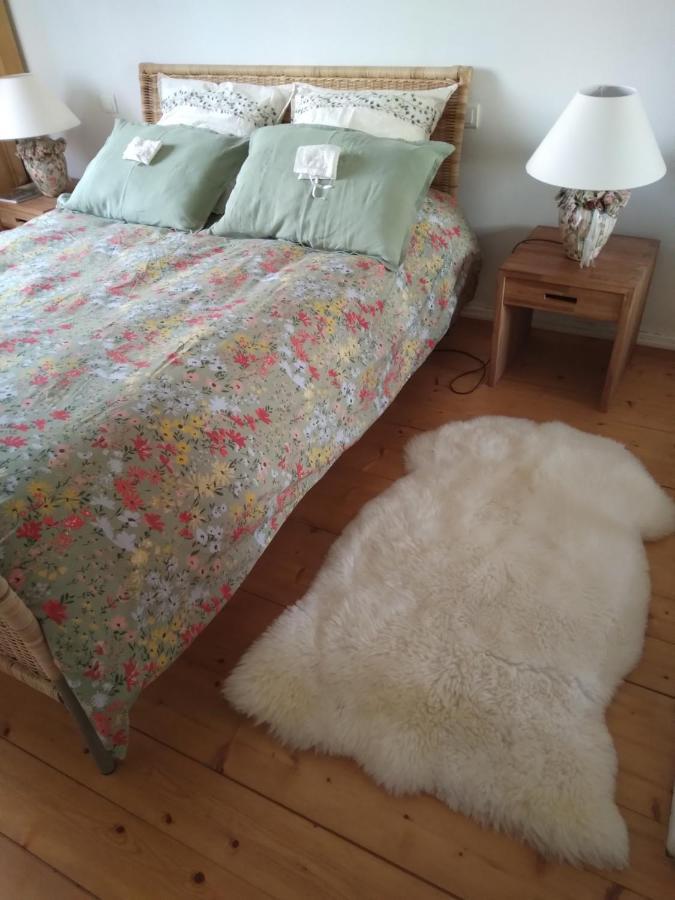 Les Dames De La Saugiat Bed & Breakfast Le Fied Luaran gambar