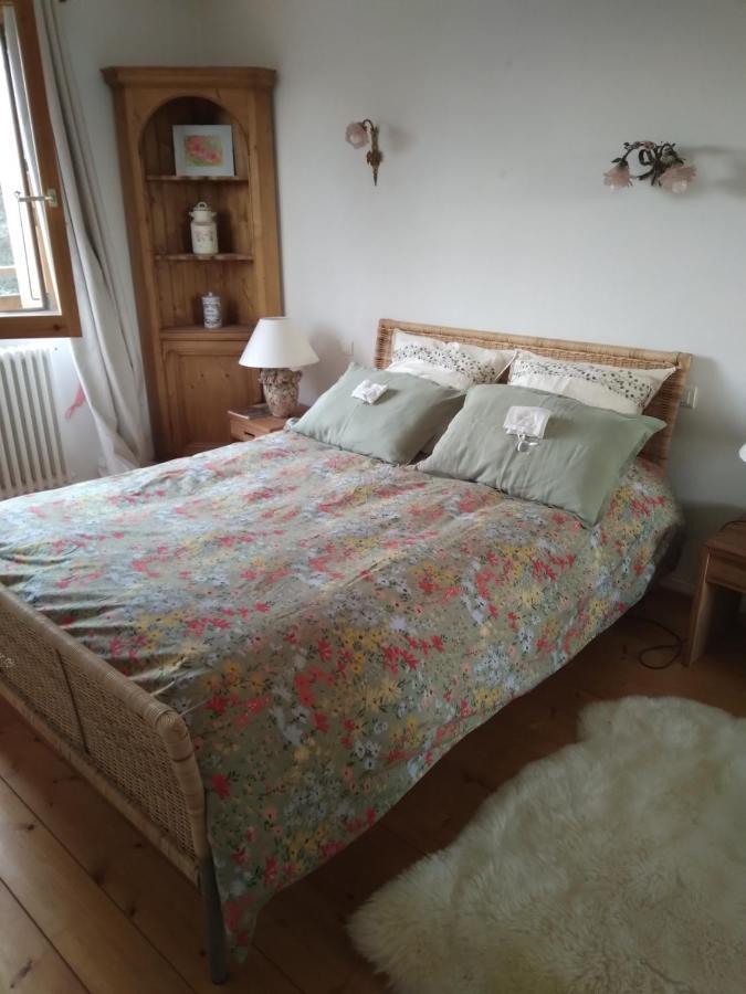 Les Dames De La Saugiat Bed & Breakfast Le Fied Luaran gambar